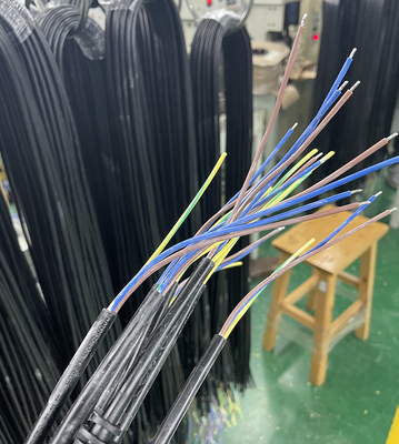 Cáp điện PVC có phích cắm